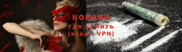 дживик Богданович