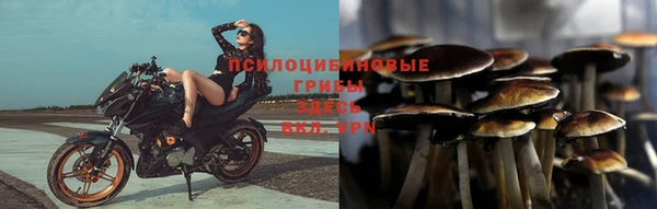 MDMA Богородск