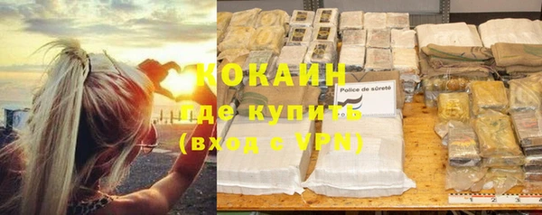 дживик Богданович