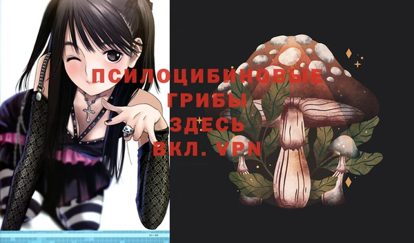 круглые Богородицк