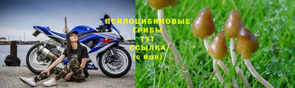 дживик Богданович