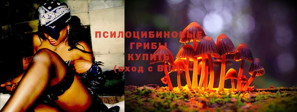 MDMA Богородск